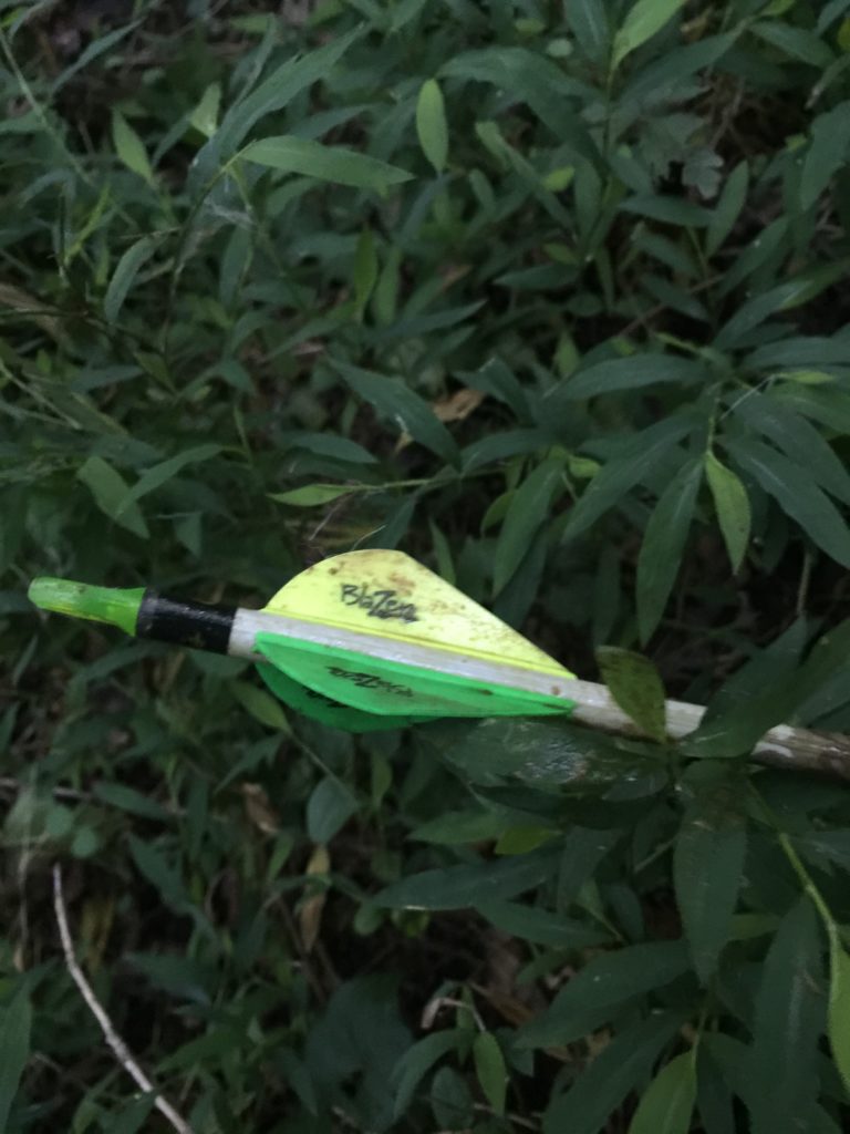 What Caused Me To Miss On My Archery Hunt? Country Strong Aesthetics