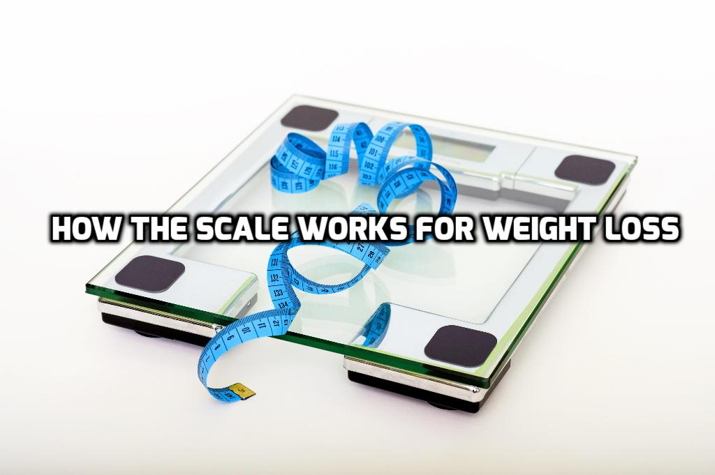 How the Scale Works for Weight Loss Country Strong Aesthetics